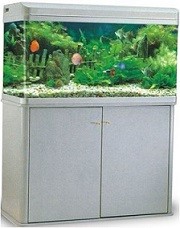 rs aquarium