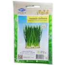 Chia Tai Home Garden Bunching Onion Money Star Seeds – 240 Seeds of Fast-Growing, Aromatic Greens