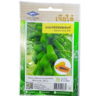 Chia Tai Home Garden Papaya Holland Seeds – 15 Seeds of Fast-Growing, Sweet Tropical Variety