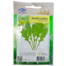 Chia Tai Home Garden Rocket Astro Seeds – 500 Seeds of Fast-Growing, Nutritious Greens