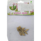 Dynamic Seeds Bangkok Supreme Curcuma Big Bulb – 4–5 Pc Hybrid Bulbs with Light Pink Petals