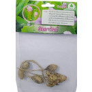 Dynamic Seeds Laddawan Curcuma Big Bulb – 4–5 Pc Hybrid Bulbs with Pale Pink Bracts