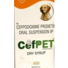 Intas Cefpet Dry Syrup – Broad-Spectrum Antibiotic for Dogs & Cats (120ml Total)