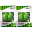 Pan 1719 Bottle Gourd F1 Hybrid Seeds – High-Yield Cylindrical Variety (20gm Pack)