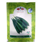 East West Rama F1 Ridge Gourd Hybrid Seeds – Early Maturing Tender Variety (50gm)