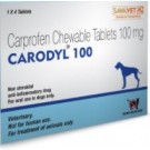 Savavet Dogs Carodyl Veterinary