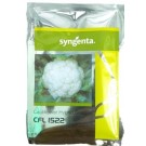 Syngenta CFL 1522 Hybrid Cauliflower Seed